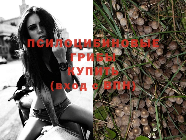 герыч Иннополис