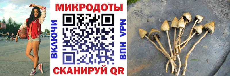 Псилоцибиновые грибы Cubensis  МЕГА как зайти  Янаул 